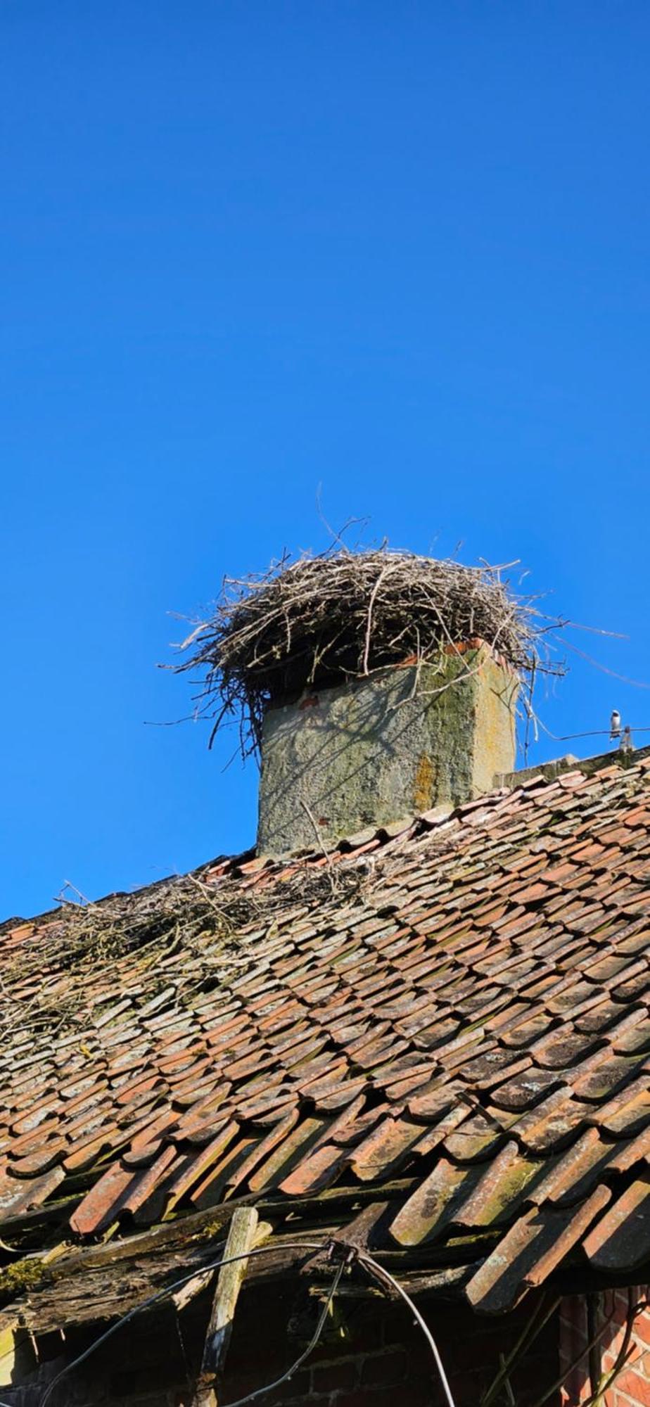 Oliwkowe Jerzykowo -Klimatyzacja Villa Radzieje Ngoại thất bức ảnh